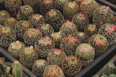 Similar image 22100048