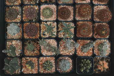 Similar image 22100061