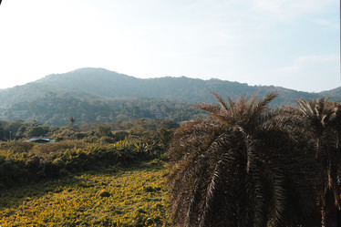 Similar image 22100065