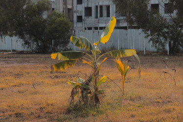 Similar image 22100066