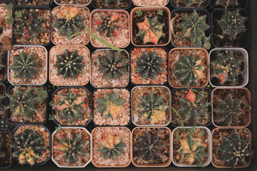 Similar image 22100068