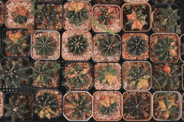 Similar image 22100077