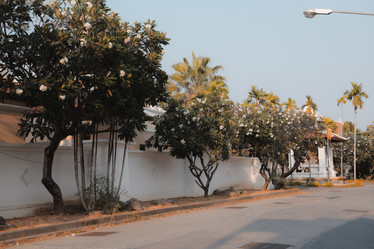 Similar image 22100078