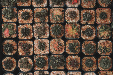 Similar image 22100083