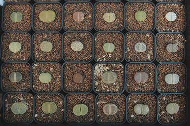 Similar image 22100085