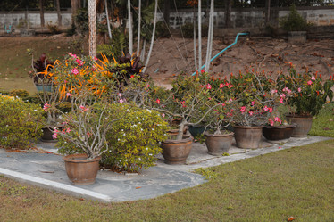 Similar image 22100087