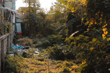 Similar image 22100090