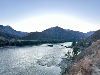 Similar image 22098785