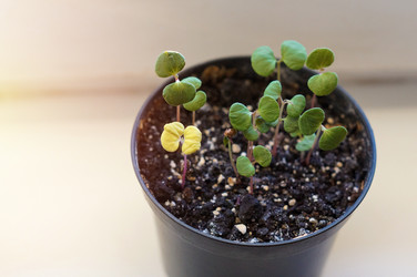 Similar image 22111785