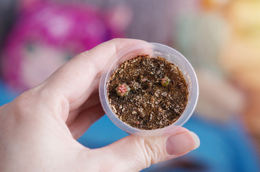 Similar image 22111786