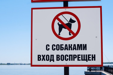 Similar image 22098369