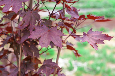 Similar image 22111787