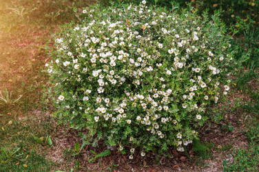 Similar image 22098376