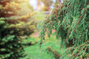 Similar image 22111788