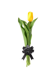 Similar image 22099053