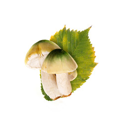 Similar image 22099076