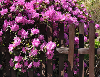 Similar image 22099077