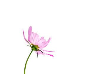 Similar image 22099314