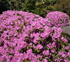 Similar image 22099336