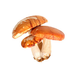 Similar image 22099337