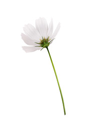 Similar image 22099340