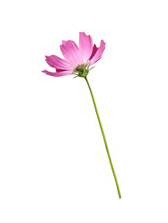 Similar image 22099342