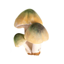 Similar image 22099343