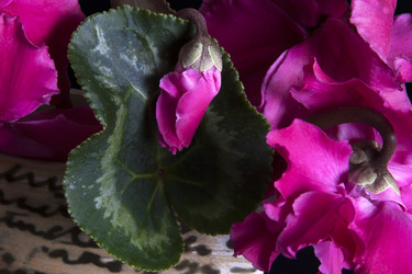 Similar image 22099354