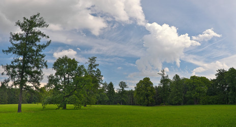 Similar image 22099363