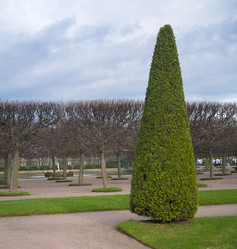 Similar image 22099371