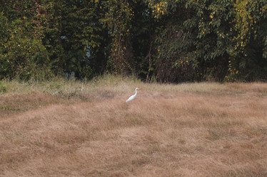 Similar image 22099842