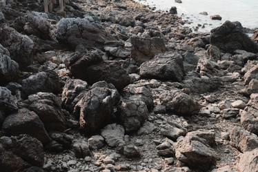 Similar image 22099844