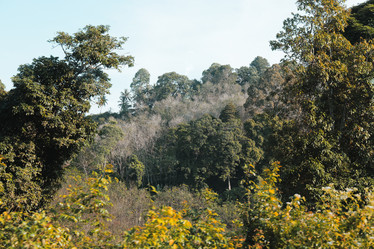 Similar image 22099854