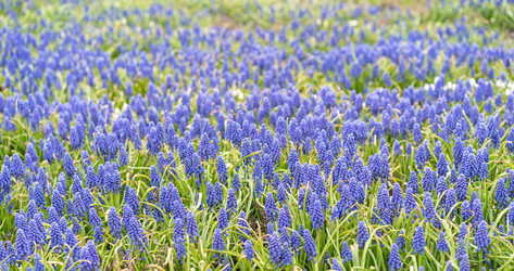 Similar image 22110128