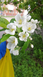 Similar image 22112830