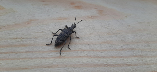 Similar image 22112833