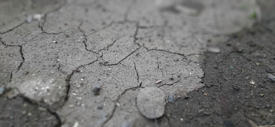 Similar image 22112835