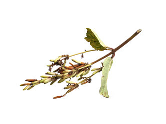 Similar image 22098932