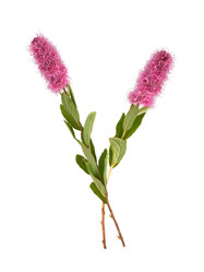 Similar image 22098936