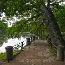 Similar image 22098955