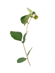 Similar image 22098956