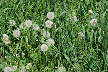 Similar image 22098959