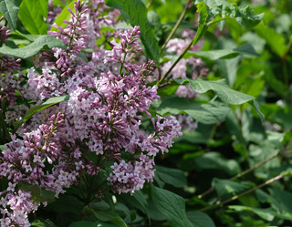 Similar image 22098960