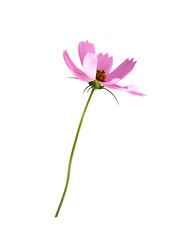 Similar image 22098962