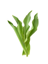 Similar image 22098974