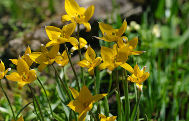 Similar image 22098975