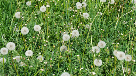 Similar image 22098976