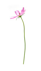 Similar image 22098979