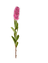 Similar image 22098980