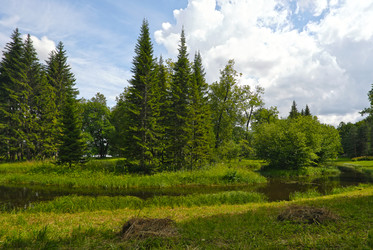 Similar image 22098981